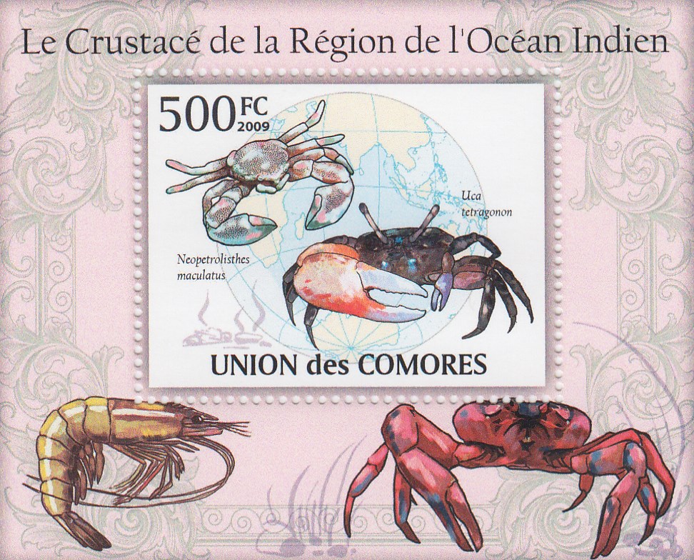 Postage Stamp: Cormoros (2009) image