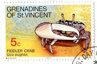 Postage Stamp: Grenadines of St. Vincent (1977) image