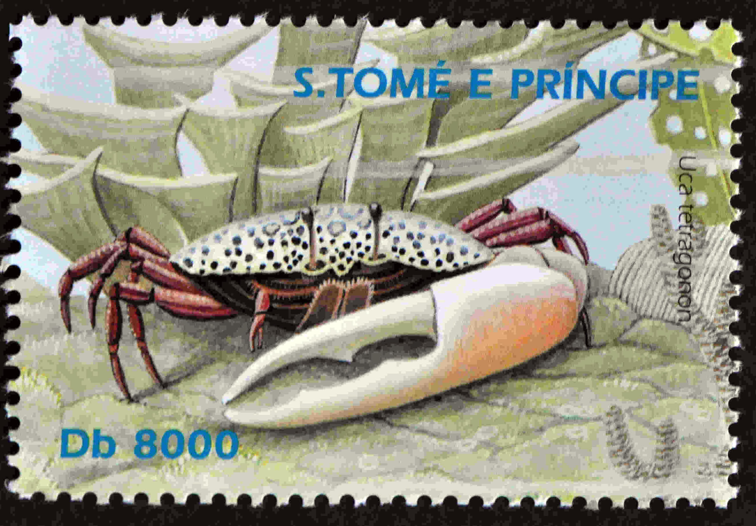 Postage Stamp: São Tomé and Príncipe (unknown) image