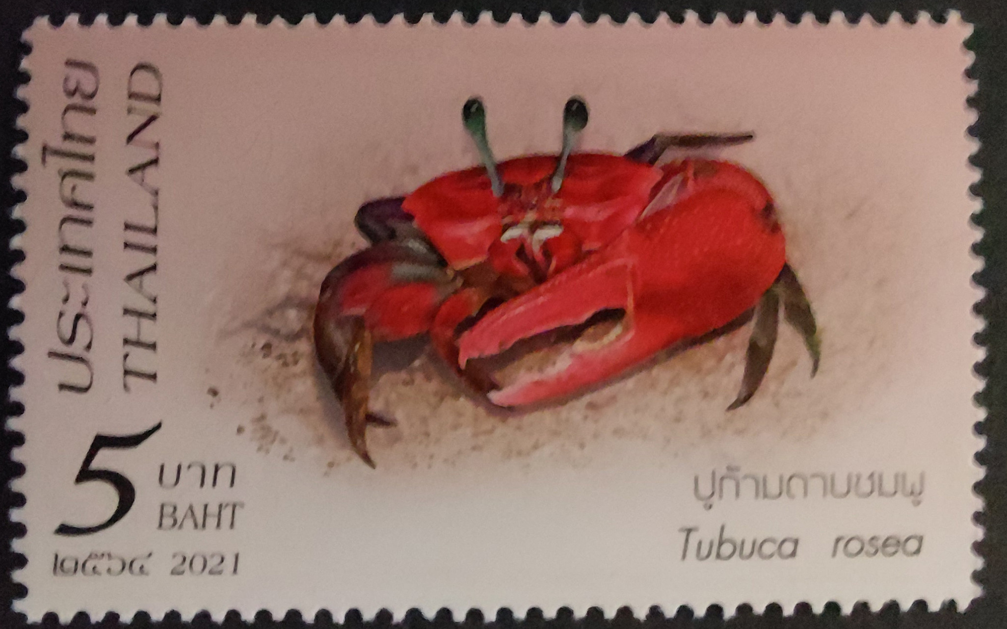 Postage Stamp: Thailand (2021) image