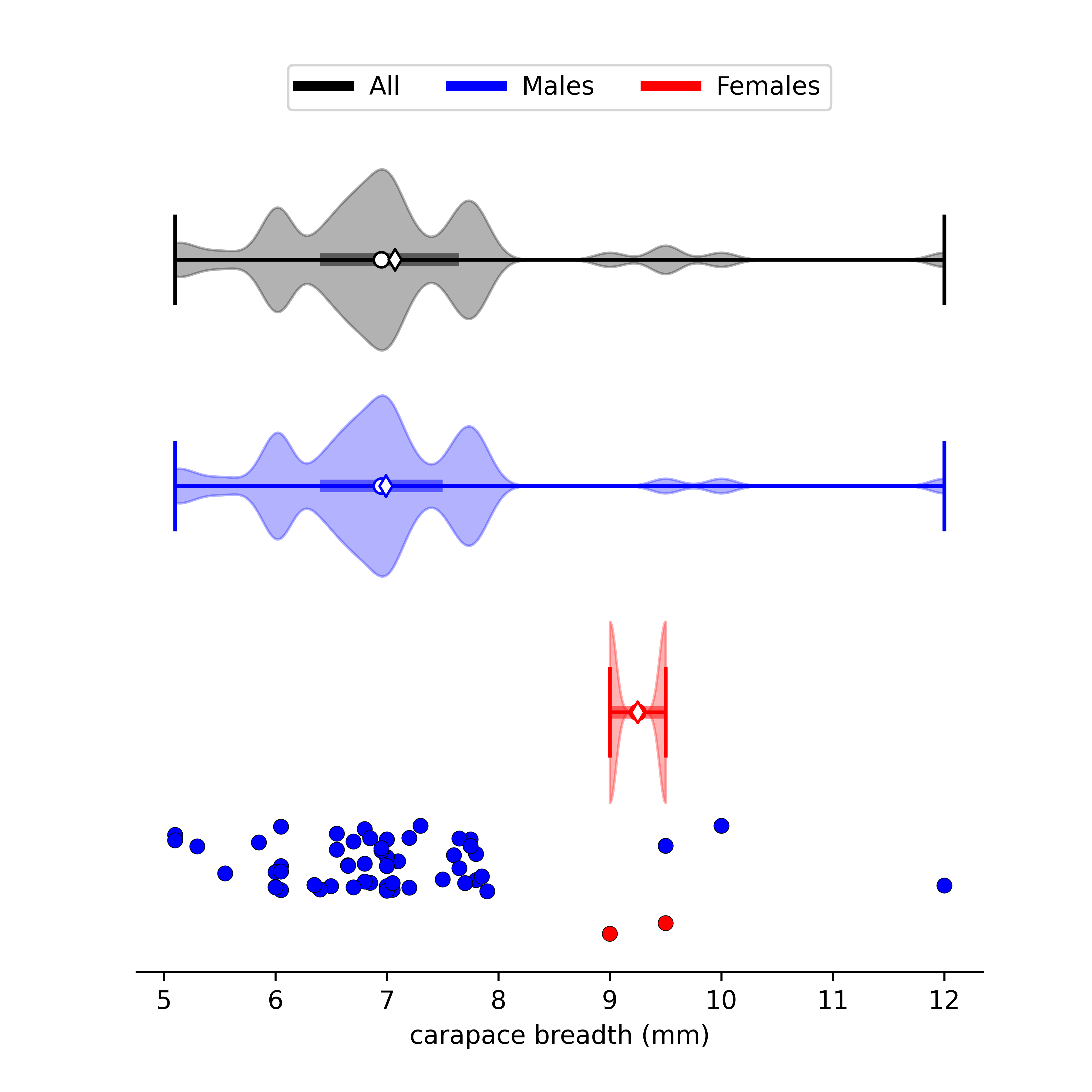 size data for Leptuca deichmanni